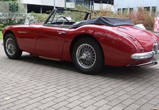 Austin Healey MK III Convertible BJ 7 (1964)