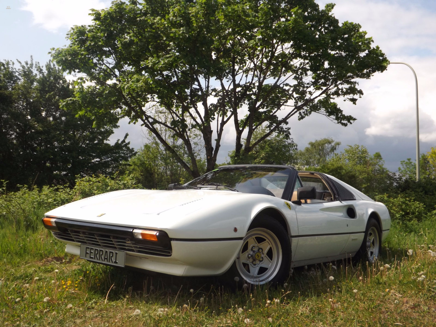 Herando - Ferrari 308 GTSi - Targa Oldtimer