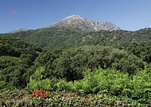 Luxus-Villa in Casares