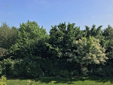 Blick vom Balkon 