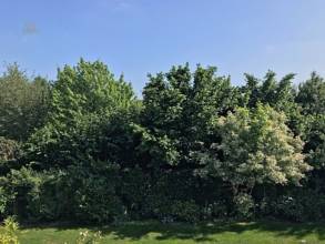 Blick vom Balkon 