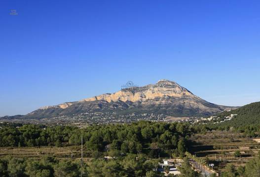Berg