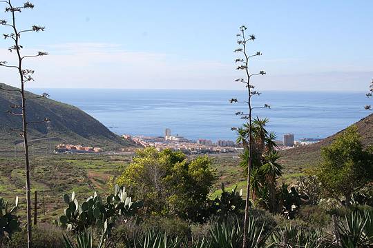 Playa de Las Americas