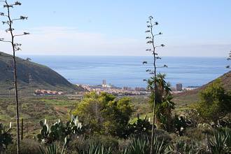 Playa de Las Americas