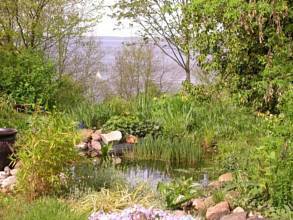 Gartenteich mit Seeblick