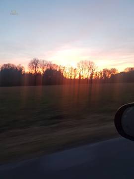 Viel Natur