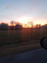 Viel Natur