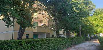Allg Garten