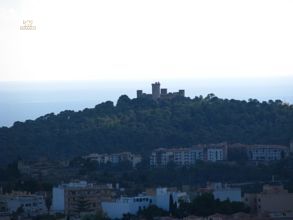 Luxus-Finca in Palma de Mallorca