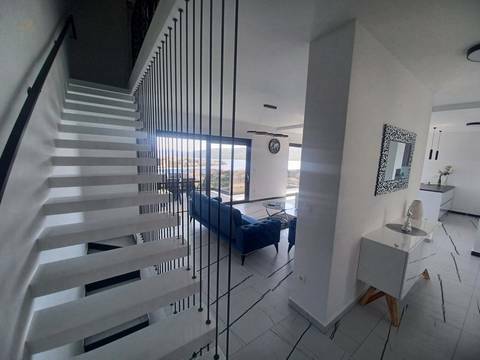 panorama-scouting-H247724