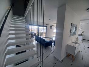 panorama-scouting-H247724