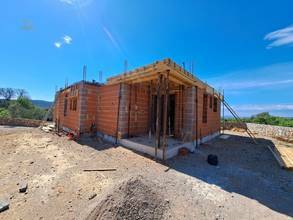 panorama-scouting-H2596-6