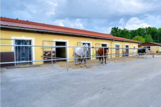 Boxen mit AuÃenpaddocks