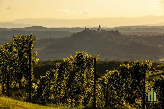 SÃ¼doststeiermarkLandschaft