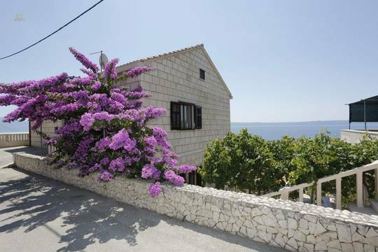 panorama-scouting-H2761-115