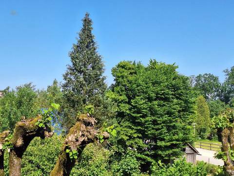 Aussicht
