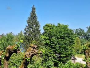Aussicht