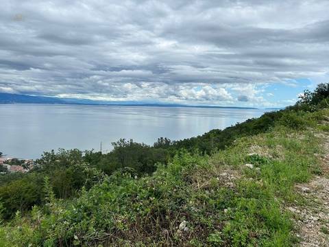 panorama-scouting-G445-1