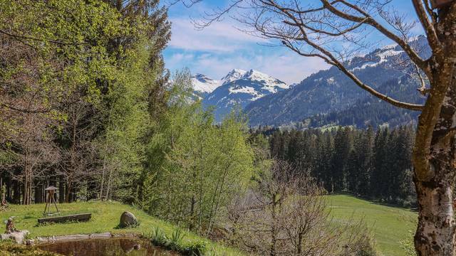 KITZIMMO-einzigartiges Anwesen mit Blick auf den Schwarzsee - Immobilien KitzbÃ¼hel.