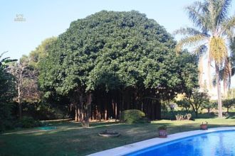 Luxus-Villa in Costalita