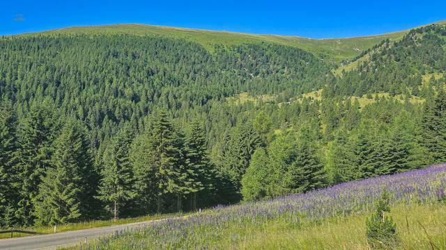 sommerfotosfalkertseetoplagekaufenkitzimmo-3