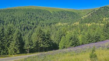 sommerfotosfalkertseetoplagekaufenkitzimmo-3