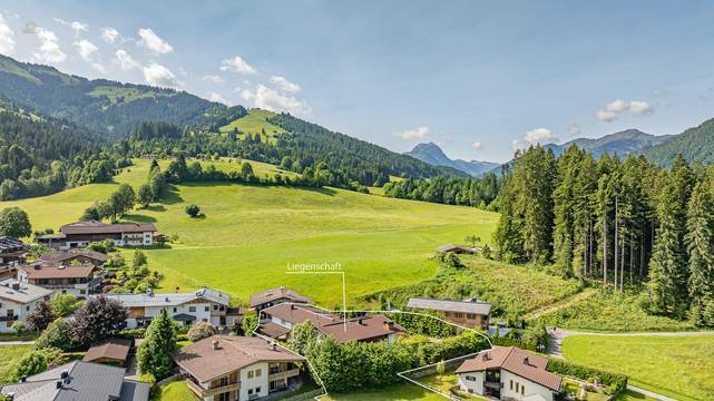 KITZIMMO-GrundstÃ¼ck mit Altbestand in sonniger Ruhelage kaufen - Immobilien Kirchberg.