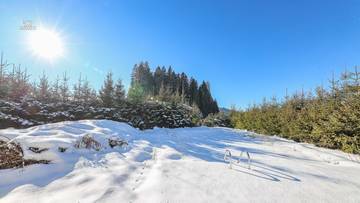 KITZIMMO-GrundstÃ¼ck mit Altbestand in sonniger Ruhelage kaufen - Immobilien Kirchberg.