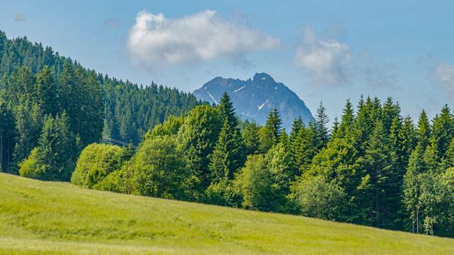 KITZIMMO-GrundstÃ¼ck mit Altbestand in sonniger Ruhelage kaufen - Immobilien Kirchberg.