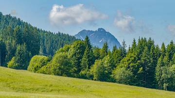 KITZIMMO-GrundstÃ¼ck mit Altbestand in sonniger Ruhelage kaufen - Immobilien Kirchberg.