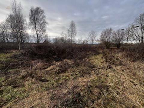 Ansicht 1