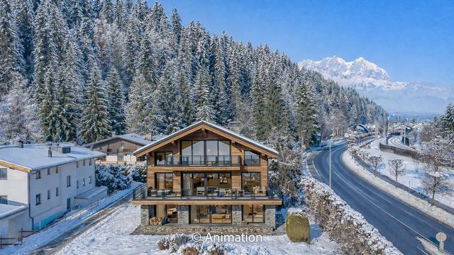 KITZIMMO-Mehrfamilienhaus mit Freizeitwohnsitz kaufen.-4