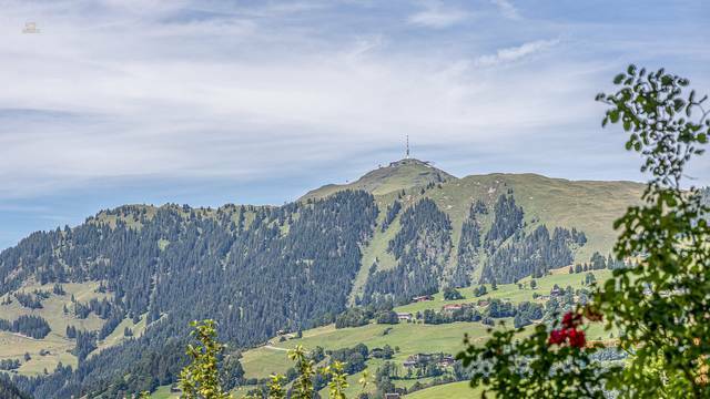 KITZIMMO-Luxusvilla in Toplage kaufen - Immobilien Aurach KitzbÃ¼hel.