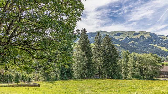 KITZIMMO-Luxusvilla in Toplage kaufen - Immobilien Aurach KitzbÃ¼hel.