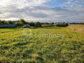 Grundstück Parndorf_ Blick nach Westen