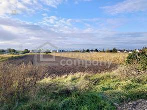 Freier Grünblick Richtung Leithagebirge