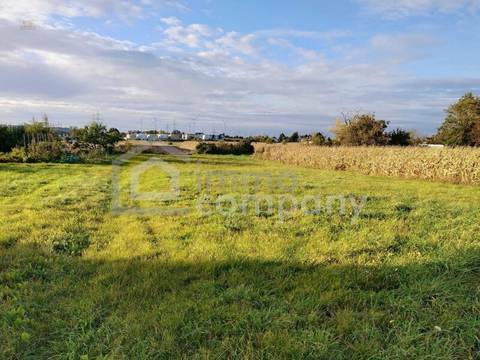 Grundstück Parndorf_ Blick nach Nordwesten