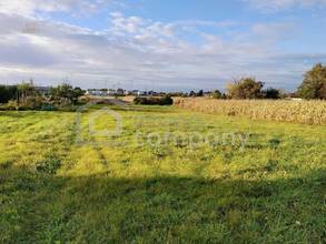 Grundstück Parndorf_ Blick nach Nordwesten