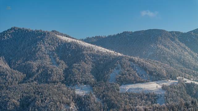 KITZIMMO-Zwei Luxuschalets mit Panoramablick in Top-Ruhelage kaufen - Immobilien Steinberg Tirol.