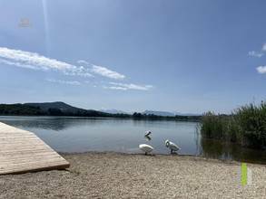 Grabensee