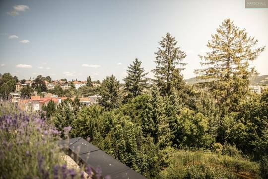 Ausblick