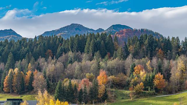 auÃenfotosneukaufenkitzimmokitzbÃ¼helfieberbunn-8
