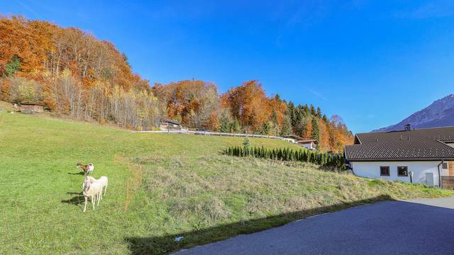KITZIMMO-BaugrundstÃ¼ck mit traumhaftem Ausblick kaufen - Immobilien Kufstein.