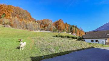 KITZIMMO-BaugrundstÃ¼ck mit traumhaftem Ausblick kaufen - Immobilien Kufstein.