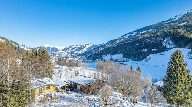 KITZIMMO-Historischen Anwesen mit 3.800 mÂ² Grund in Ruhelage - Immobilien Jochberg.