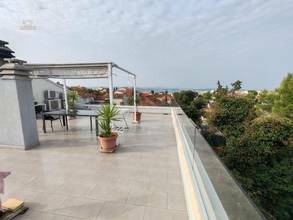 panorama-scouting-H3775-17