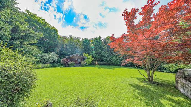 KITZIMMO-BaugrundstÃ¼ck mit Altbestand in Toplage auf der Bichlalm - Immobilien KitzbÃ¼hel.