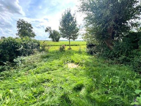 Garten/Aussicht Umgebung