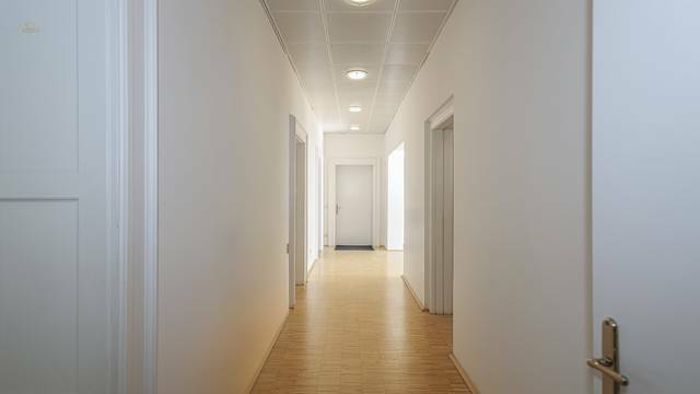 KITZIMMO-Altbauwohnung in erster Seereihe kaufen - Immobilien Gmunden.