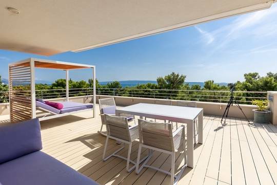 panorama-scouting-H3852-1